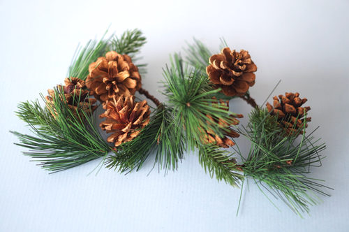 DECORACION DE PIÑAS NAVIDEÑAS