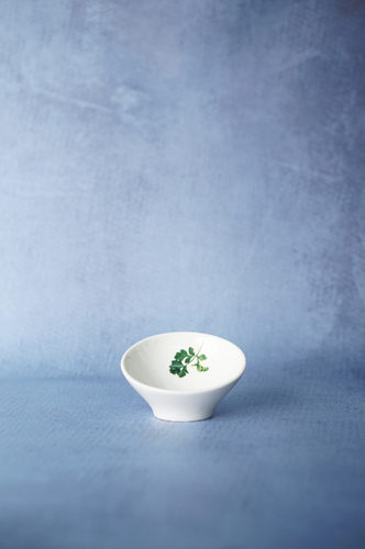 BOWL LOZA PEQUEÑO DISEÑO