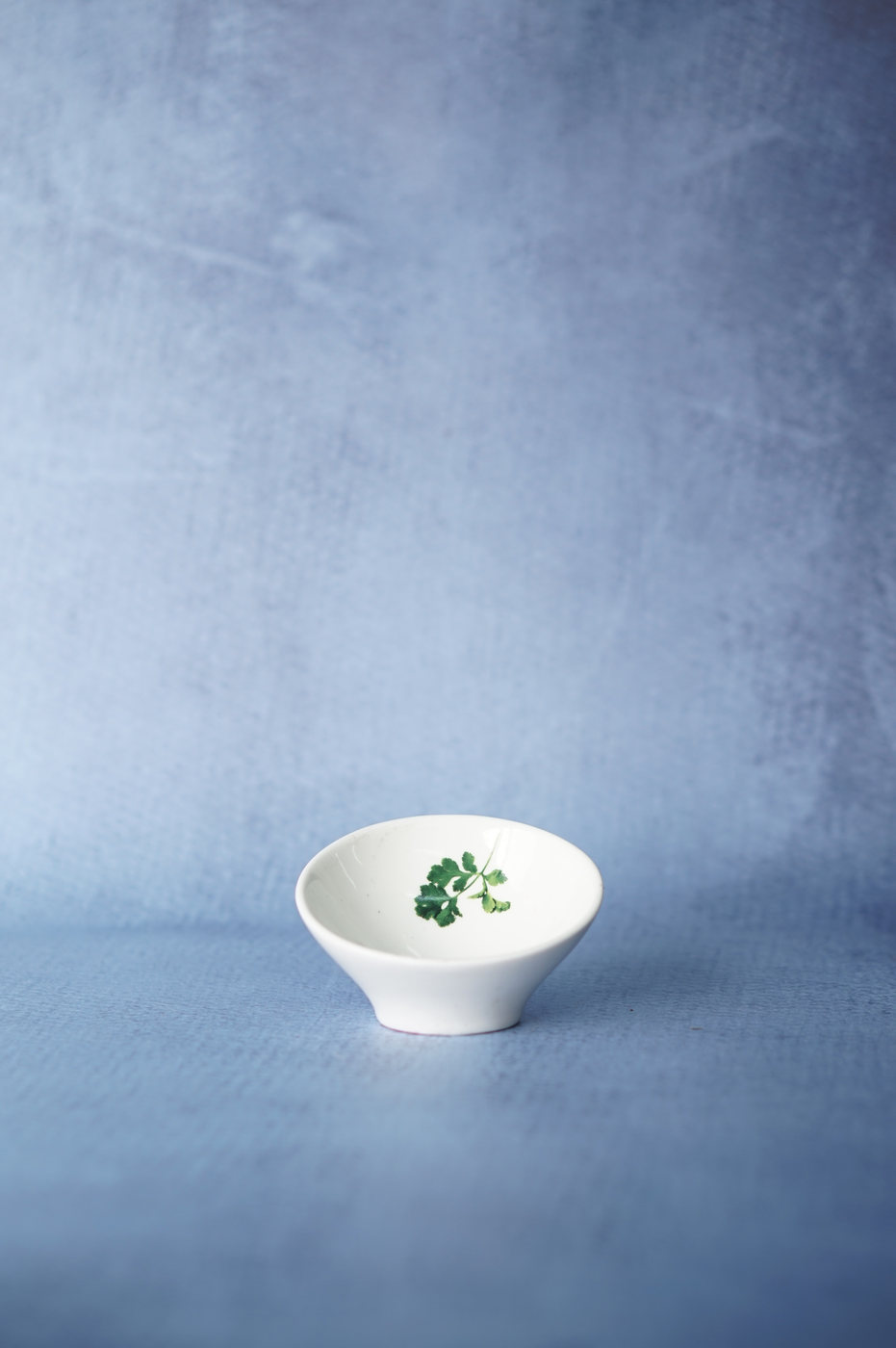 BOWL LOZA PEQUEÑO DISEÑO