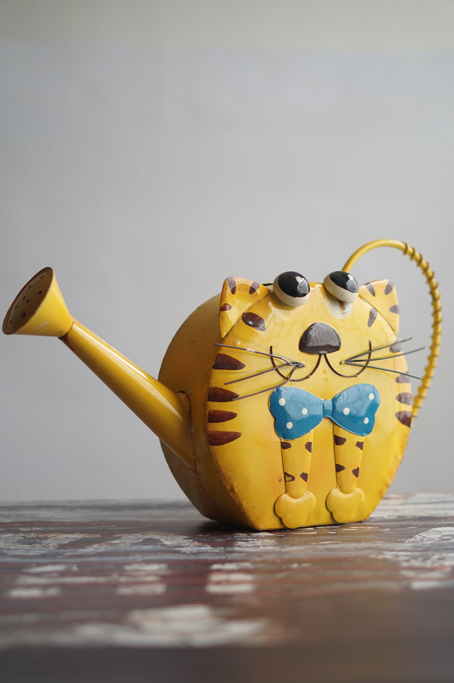 REGADERA METALICA GATO