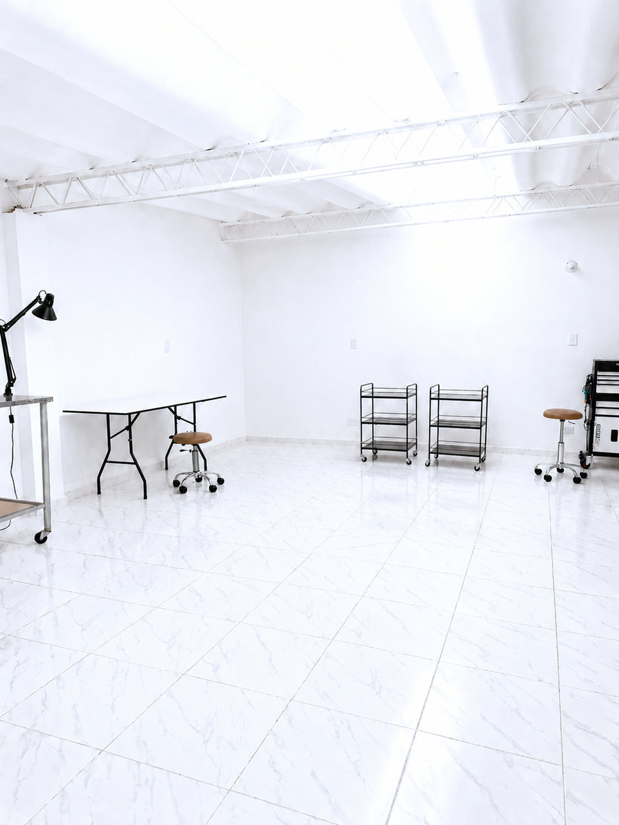 Estudio